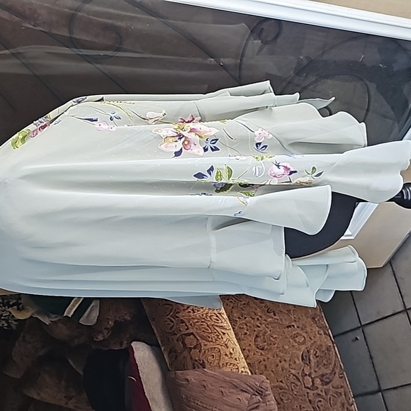 Green beaded dress with cover up - Picture 14 of 16